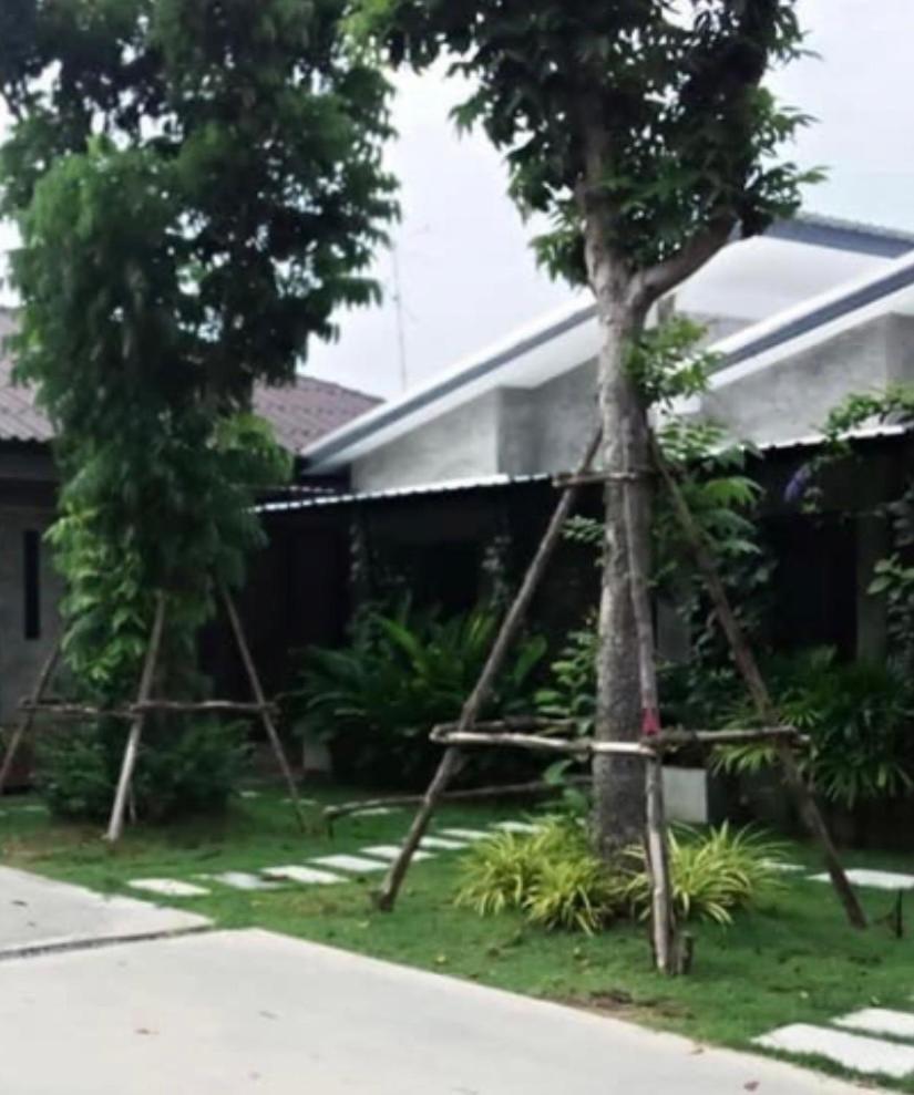 บ้านพักบุหงา199 อ สรรพยา Sapphaya Exterior photo